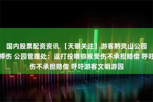 国内股票配资资讯 【天眼关注】游客黔灵山公园投喂猕猴意外摔伤 公园管理处：逗打投喂猕猴受伤不承担赔偿 呼吁游客文明游园